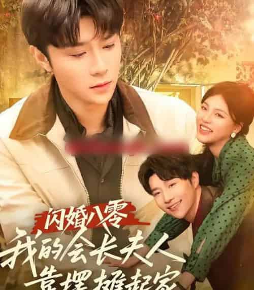 闪婚八零，我的会长夫人靠摆摊起家（60集全）权裴伦＆江炘-搜外项目网