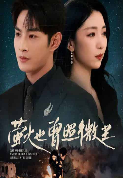 萤火也曾照微尘（63集全）赵琪＆张玉忱-搜外项目网