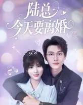 陆总今天要离婚（81集）陈凯洲＆李泫逸-搜外项目网