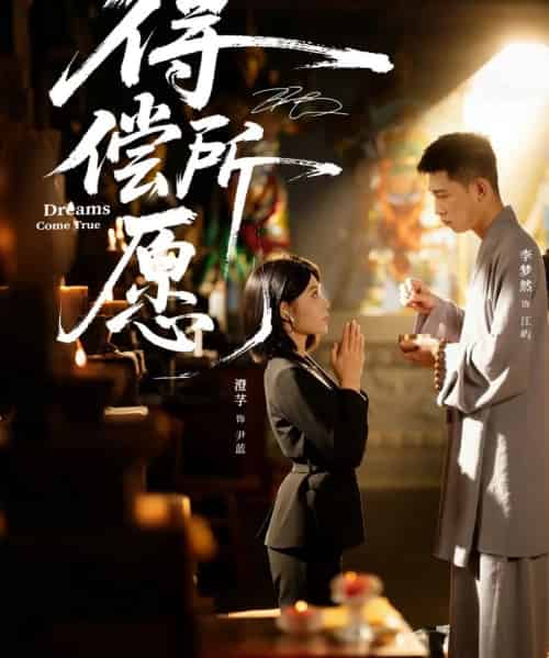 得偿所愿（65集全）澄芓＆李梦然-搜外项目网