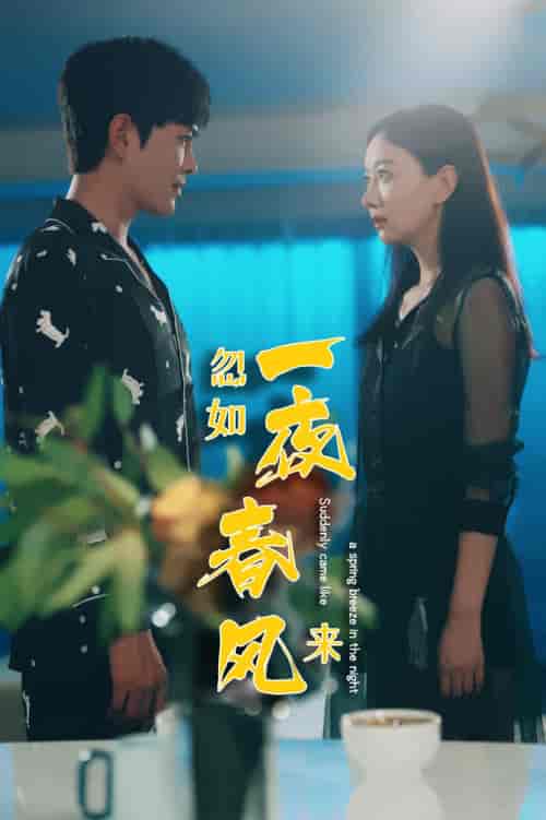 忽如一夜春风来(28集)徐江帅-搜外项目网