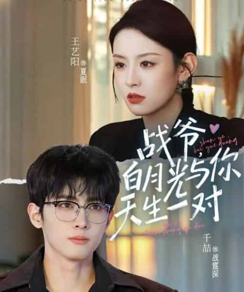 战爷，白月光与你天生一对（75集全）千喆＆王艺阳-搜外项目网
