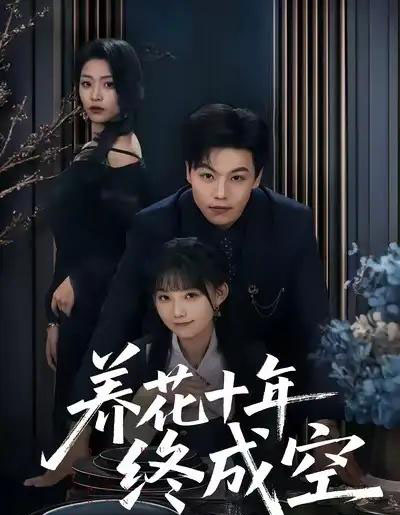 养花十年终成空(68集全)吕洁&苏宇-搜外项目网