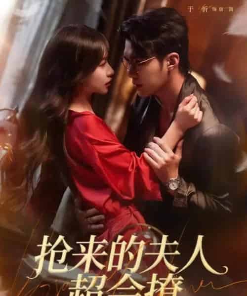 抢来的夫人超会撩（73集全）宋哲伦＆于昕-搜外项目网