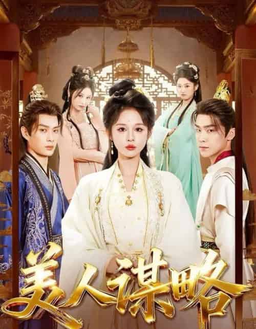 美人谋略（80集全）李康＆洪奕昕-搜外项目网