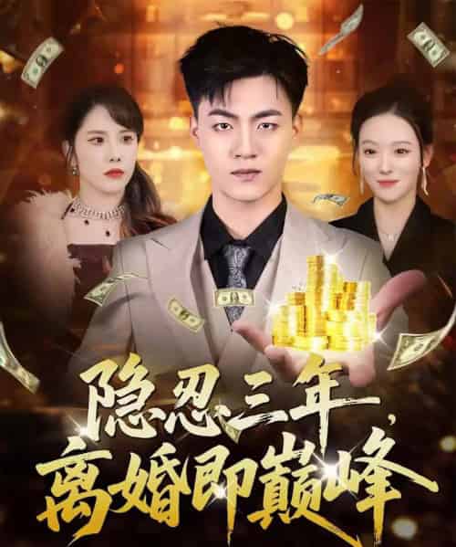 隐忍三年,离婚即巅峰(50集全)王三北&艾江山-搜外项目网