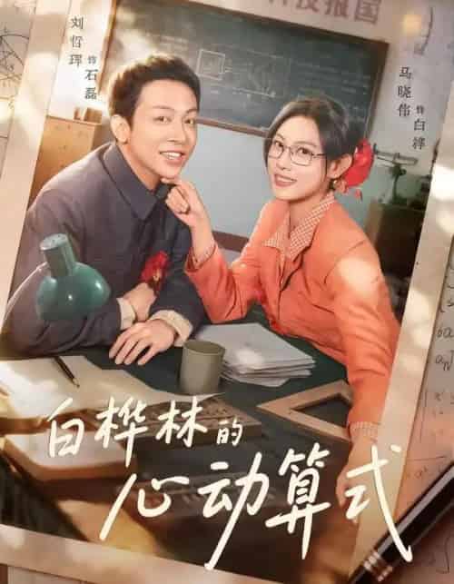 白桦林的心动算式（66集全）刘哲珲＆马晓伟-搜外项目网