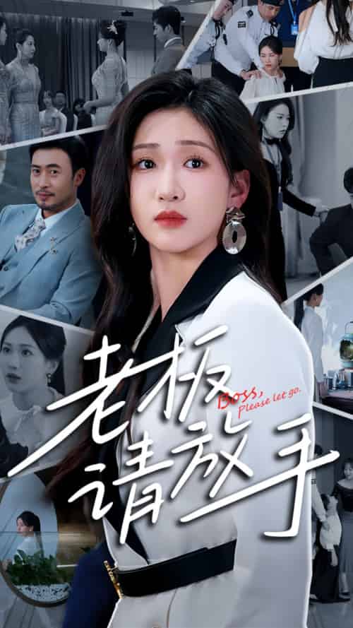 老板请放手（69集）张予湉＆王晓冬-搜外项目网