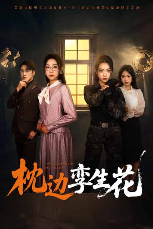 枕边孪生花（50集）张宇翔＆周玉玲-搜外项目网