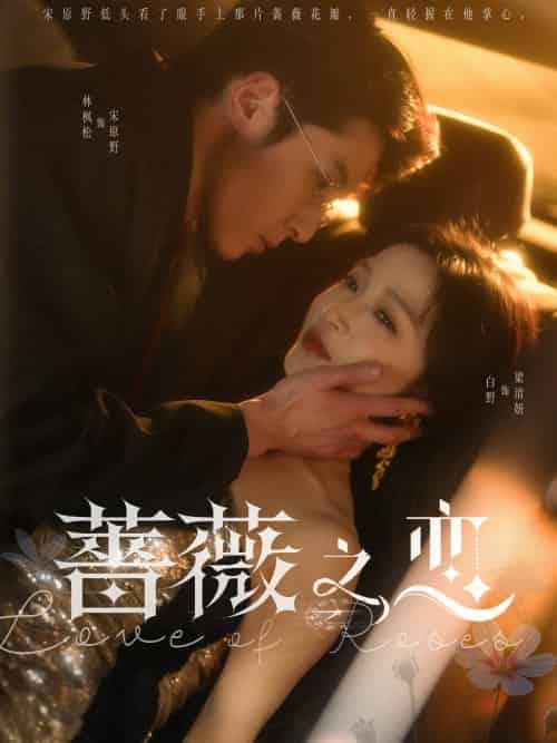 蔷薇之恋(82集)林枫松&白野-搜外项目网