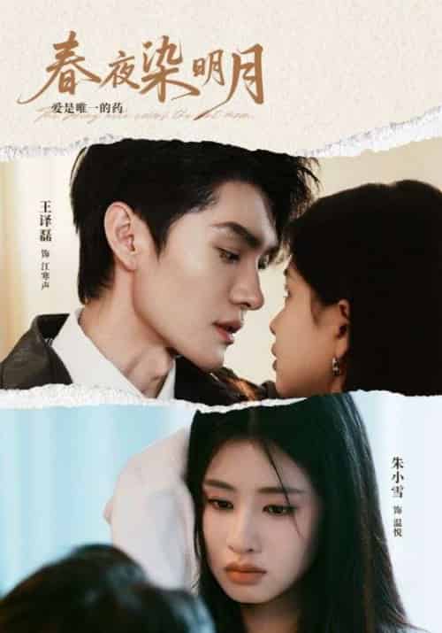 春夜染明月（48集）王译磊＆朱小雪-搜外项目网