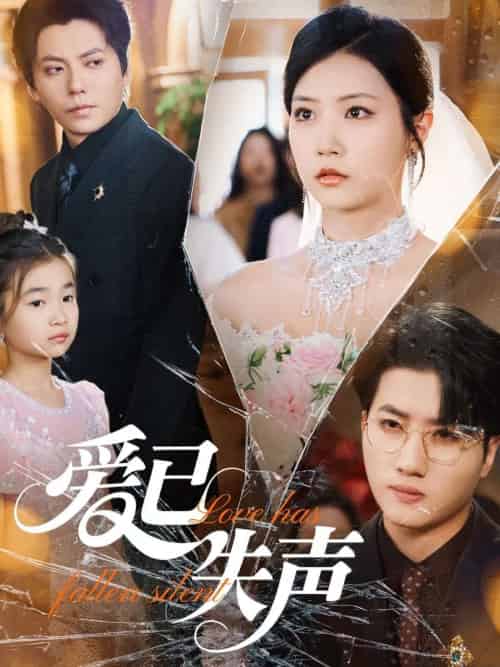 爱已失声（68集）徐漫宁-搜外项目网