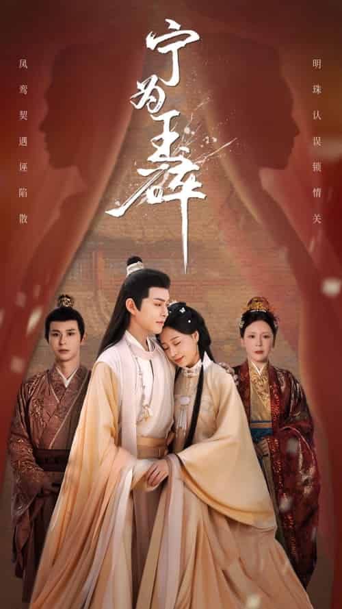 宁为玉碎(50集)徐江帅&陈雪菲-搜外项目网