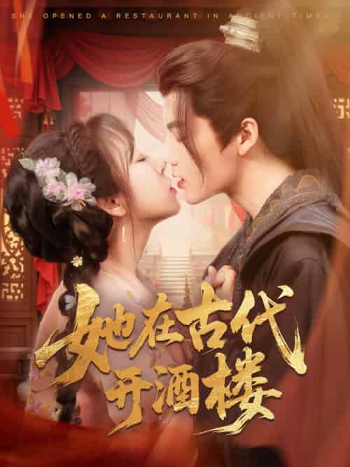 她在古代开酒楼(70集)段美洋&彭呆呆-搜外项目网