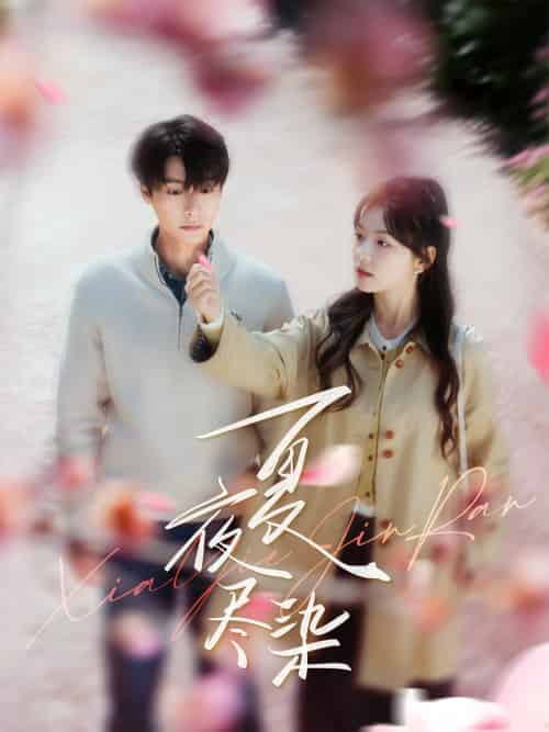 夏夜尽染（80集）曾希瑭＆彩彩云-搜外项目网