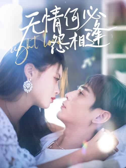 无情何必怨相逢（66集）张添景＆彭娜莎-搜外项目网