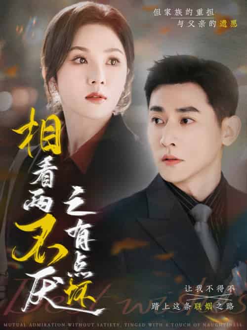 相看两不厌之有点坏(70集)于叔&朱茉颜-搜外项目网