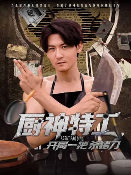 厨神特工开局一把杀猪刀（60集）孙虎城-搜外项目网