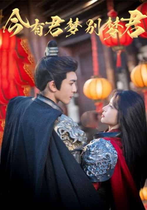 今有君梦别梦君(67集)杨洁&沈照程-搜外项目网