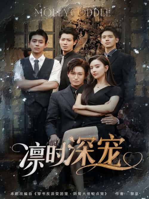 凛时深宠（80集）卓杭＆刘蔓莉-搜外项目网