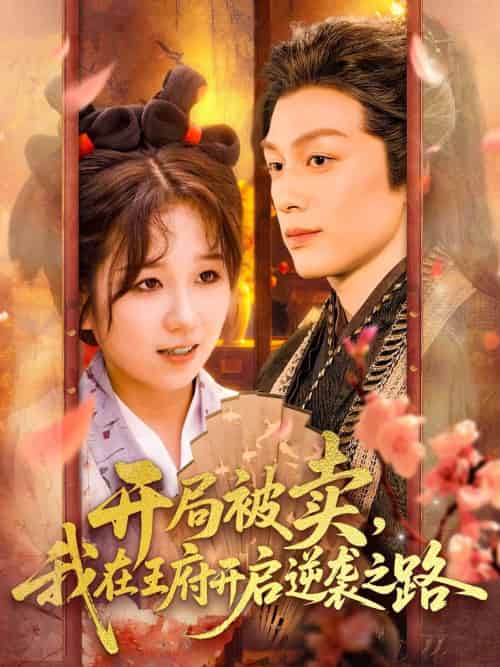 开局被卖我在王府开启逆袭之路（113集）黄帅帅＆曲笑孝-搜外项目网