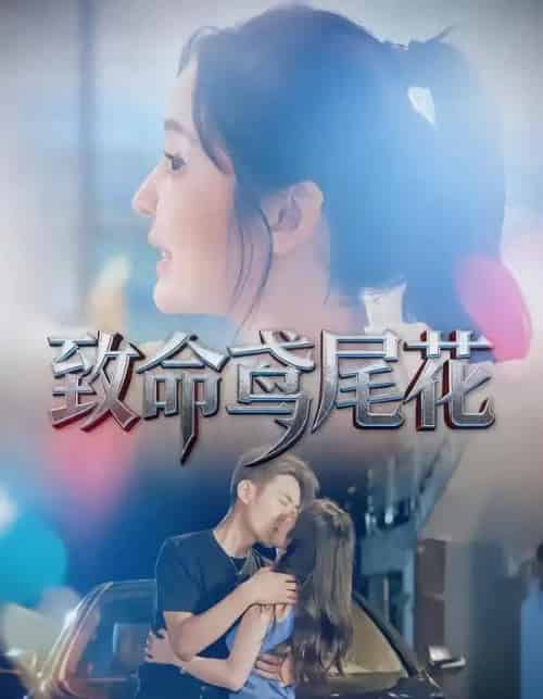 致命鸢尾花（60集全）娜吉玛＆郑天龙-搜外项目网