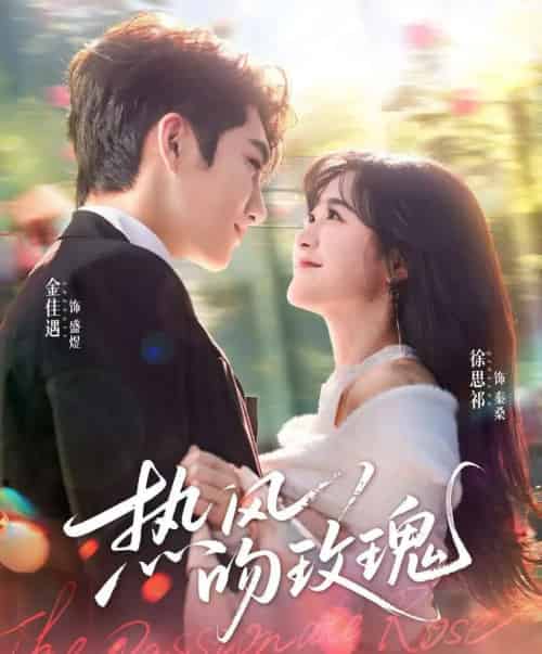热风吻玫瑰（66集全）金佳遇＆徐思祁-搜外项目网