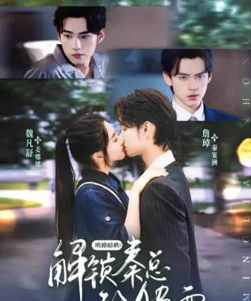 明撩暗哄解锁秦总的AB面(66集)詹琸&魏凡舒-搜外项目网