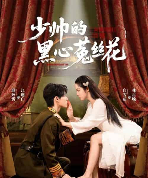 少帅的黑心菟丝花（60集）耿致忻＆白雪茹-搜外项目网