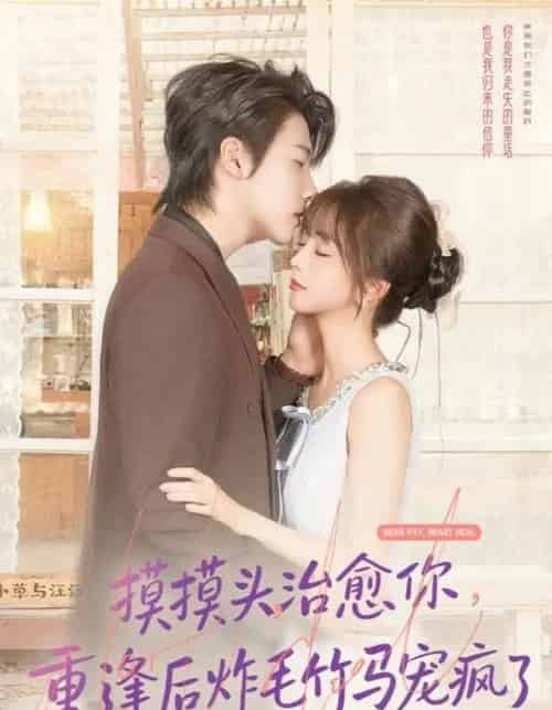 摸摸头，治愈你，重逢后炸毛竹马宠疯了（81集全）张韫韬＆蔡淼燕-搜外项目网