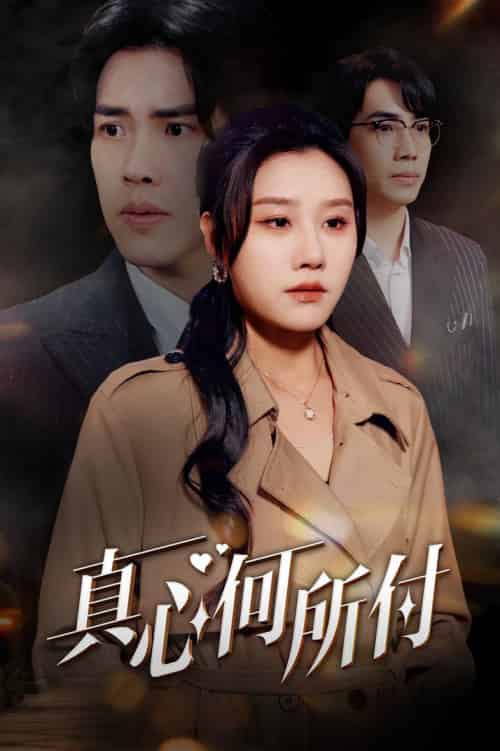 真心何所付（30集全）陆绎方＆魏昕怡-搜外项目网