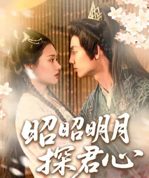昭昭明月探君心（86集）林永炬＆张梦童＆陈思琦-搜外项目网