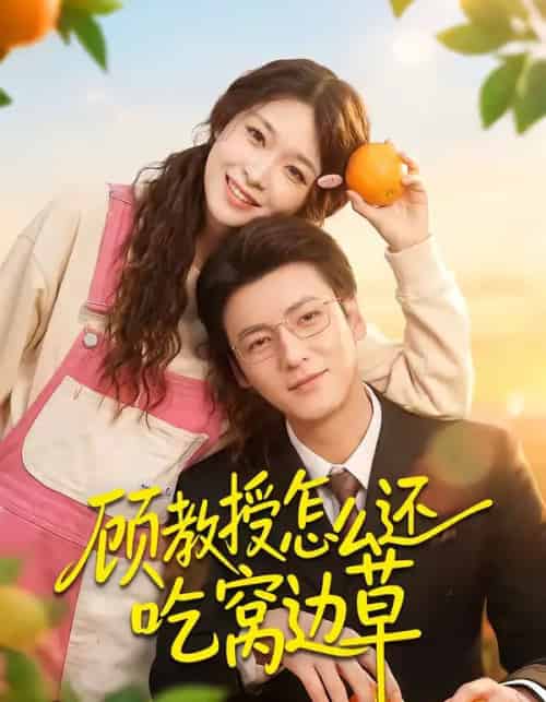 顾教授怎么还吃窝边草（60集全）吴恋融＆肖涵-搜外项目网