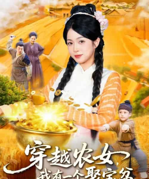 穿越农女我有一个聚宝盆(90集全)董兆霖&陈浩怡-搜外项目网