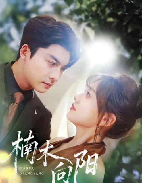 楠木向阳（70集全）方正男＆仇乐瑶-搜外项目网