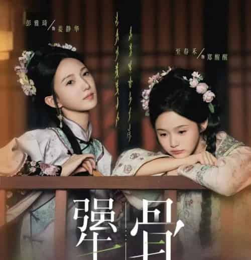 犟骨（44集全）至春禾＆彭雅琦-搜外项目网