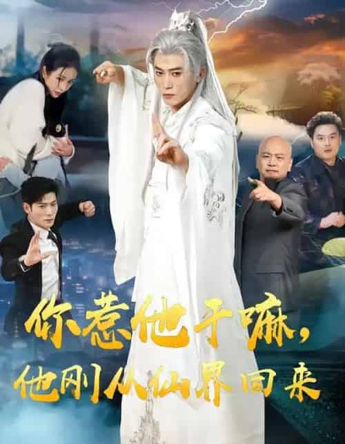 你惹他干嘛，他刚从仙界回来（80集全）王小橙＆李乾锋-搜外项目网