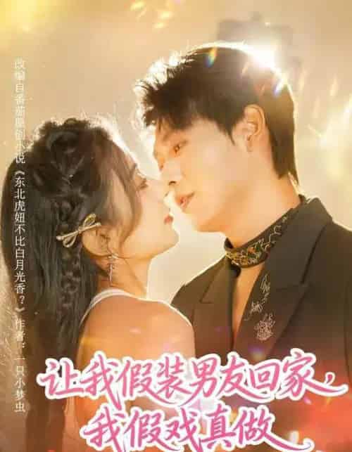 让我假装男友回家，我假戏真做（80集全）毛靖馨＆孔德瑞-搜外项目网