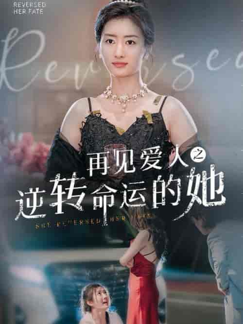 再见爱人之逆转命运的她（92集全）-搜外项目网