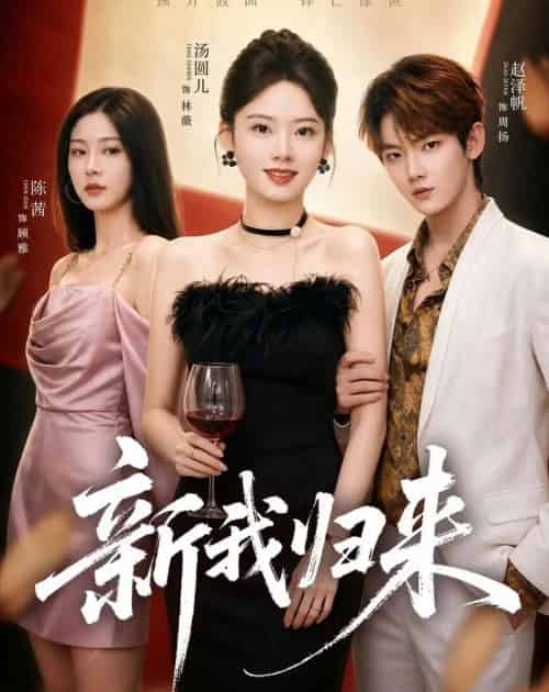 新我归来(52集全)赵泽帆&汤圆儿-搜外项目网