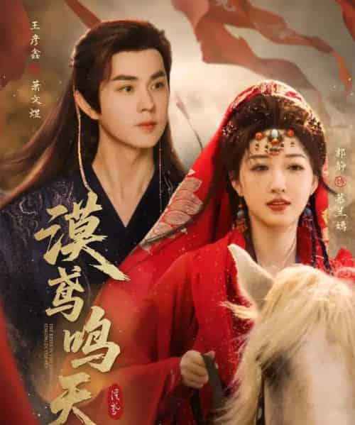 漠鸢鸣天（60集）王彦鑫＆郭静-搜外项目网