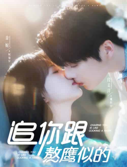 追你跟熬鹰似的(95集全)段美洋&金妮-搜外项目网