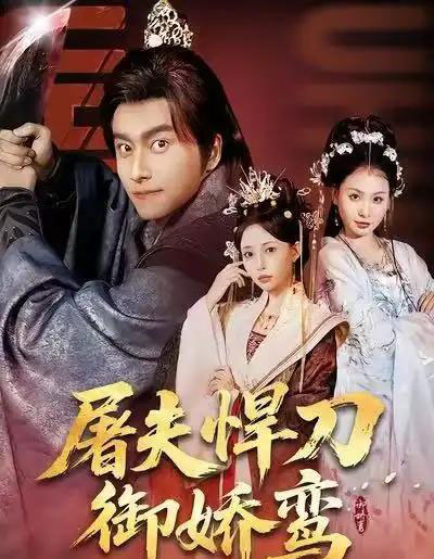 屠夫悍刀御娇鸾（81集全）王振＆苏凝-搜外项目网