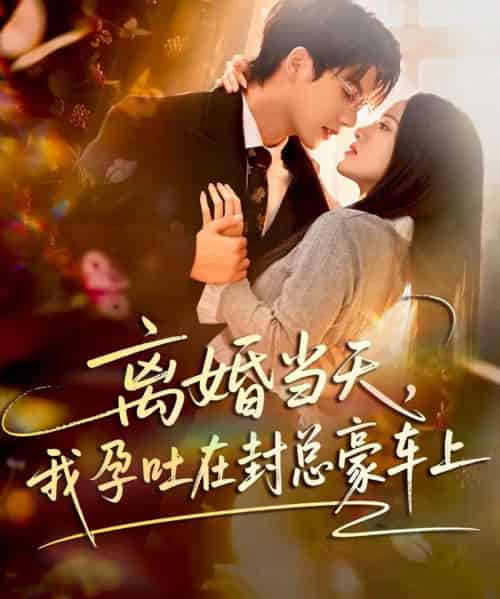 离婚当天,我孕吐在封总豪车上(77集全)吴宇航&海星-搜外项目网