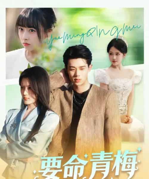 要命青梅(60集全)张凤鑫&刘艺乔-搜外项目网