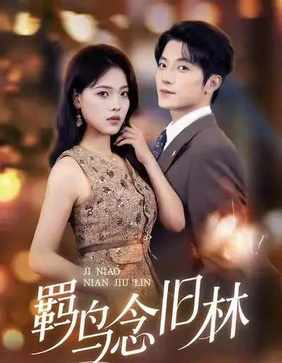 羁鸟念旧林（60集全）张宇轩＆江炘-搜外项目网