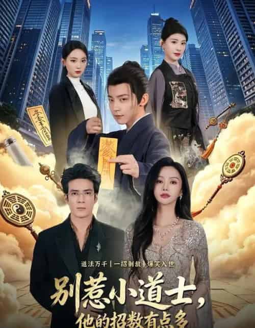 别惹小道士,他的招数有点多(70集全)李泽宇&王坤炎-搜外项目网