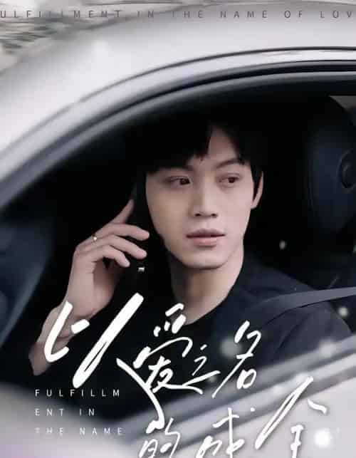以爱之名的成全（14集全）刘鑫宇＆孙珺昂-搜外项目网