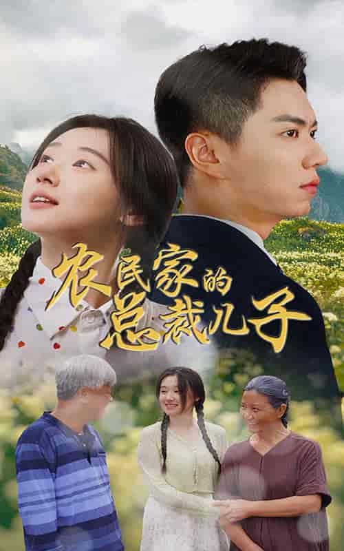 农民家的总裁儿子＆富锦还乡（80集）-搜外项目网