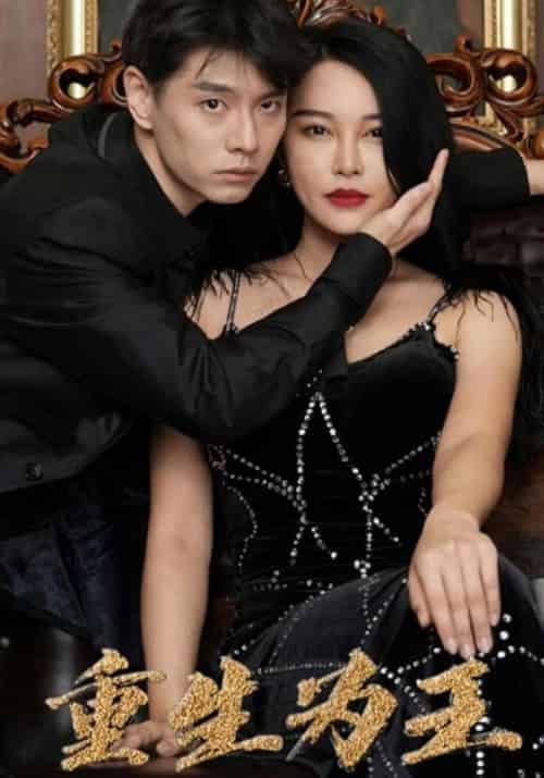 重生为王（96集全）钟少轩＆唐小小-搜外项目网